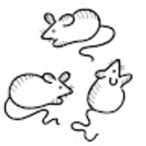 Meet your Posher, Kay